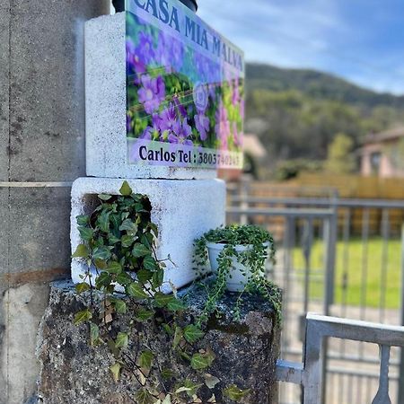 Casa Mia Malva Lejlighed Riccò del Golfo di Spezia Eksteriør billede