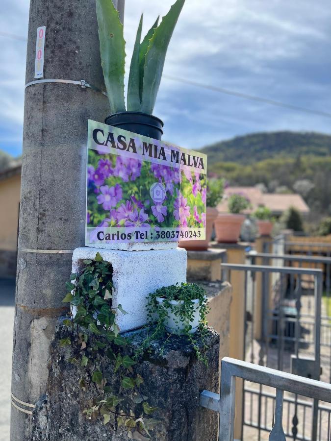 Casa Mia Malva Lejlighed Riccò del Golfo di Spezia Eksteriør billede