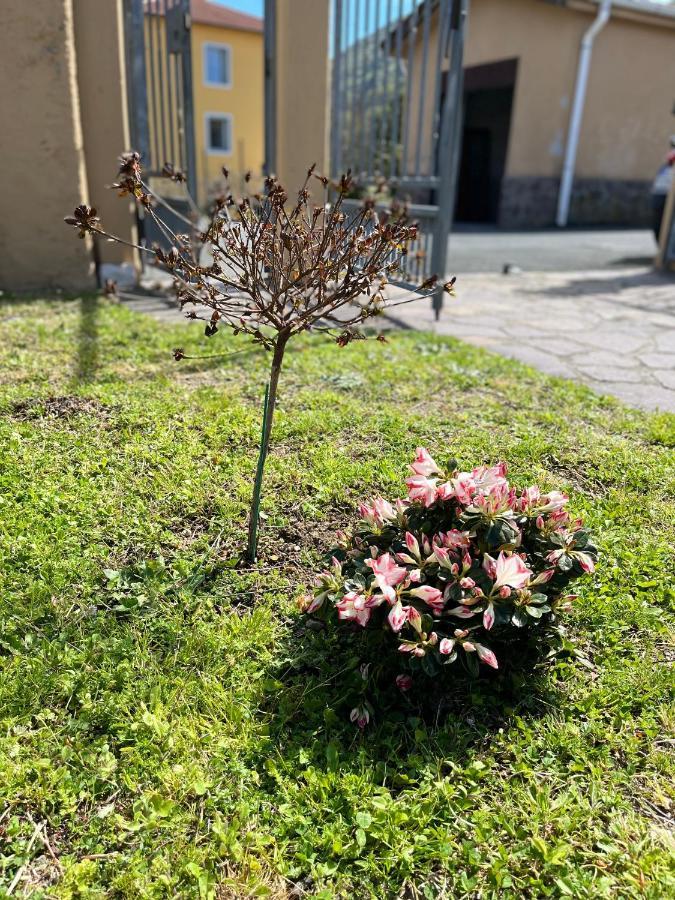 Casa Mia Malva Lejlighed Riccò del Golfo di Spezia Eksteriør billede